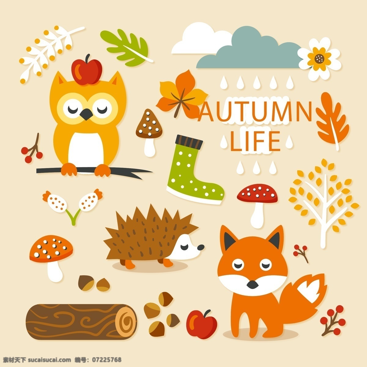 可爱的小动物 可爱 卡通 叶子 刺猬 狐狸