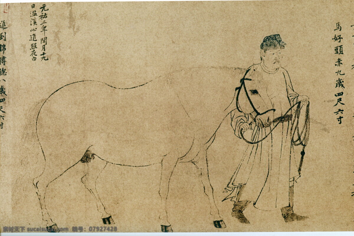 五马图之三 设计素材 动物画篇 古典藏画 书画美术 黄色