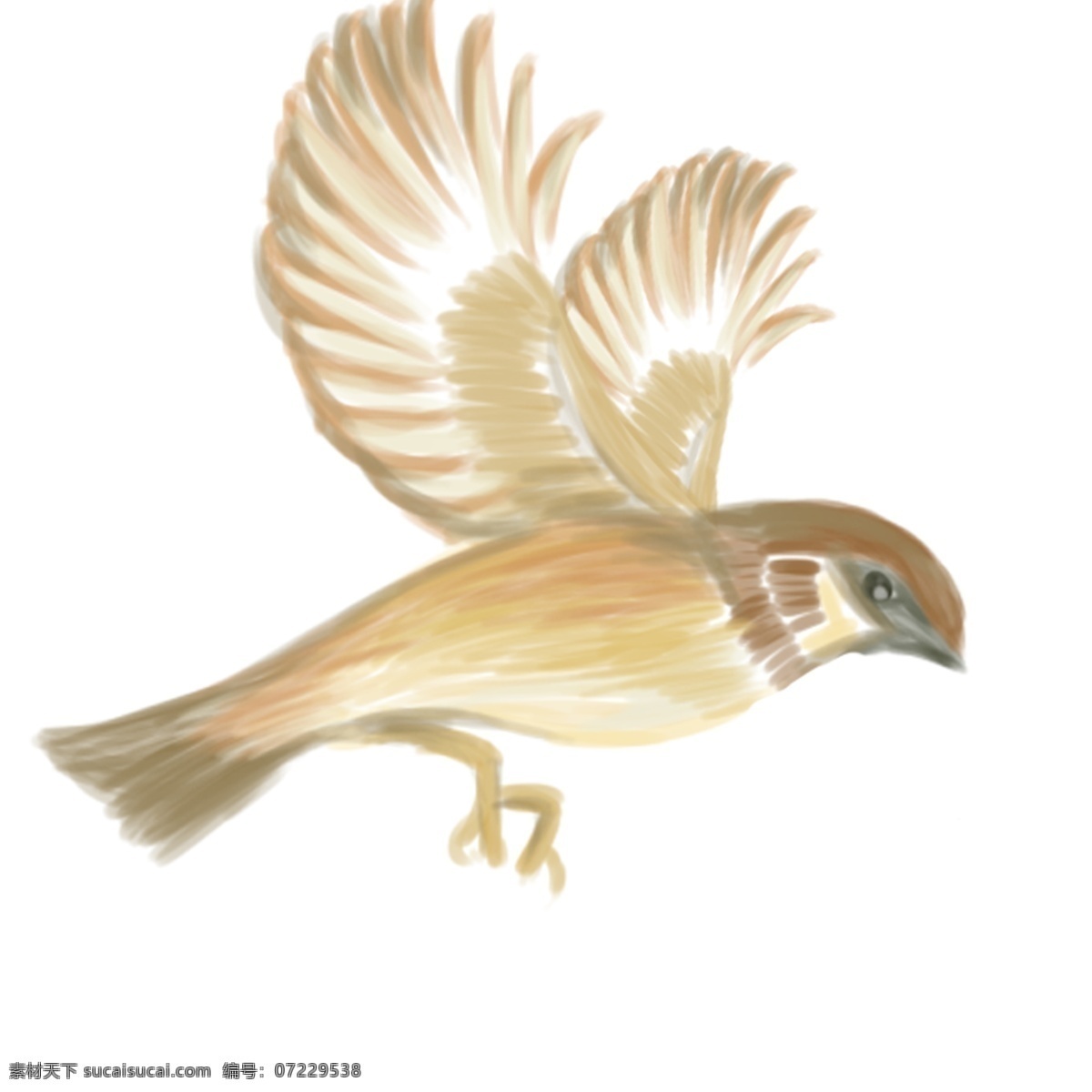 展翅 飞翔 的卡 通 小黄 鸟 黄色鸟儿 飞翔的鸟 卡其色羽毛 羽毛 吃东西的鸟儿 暖色系的鸟