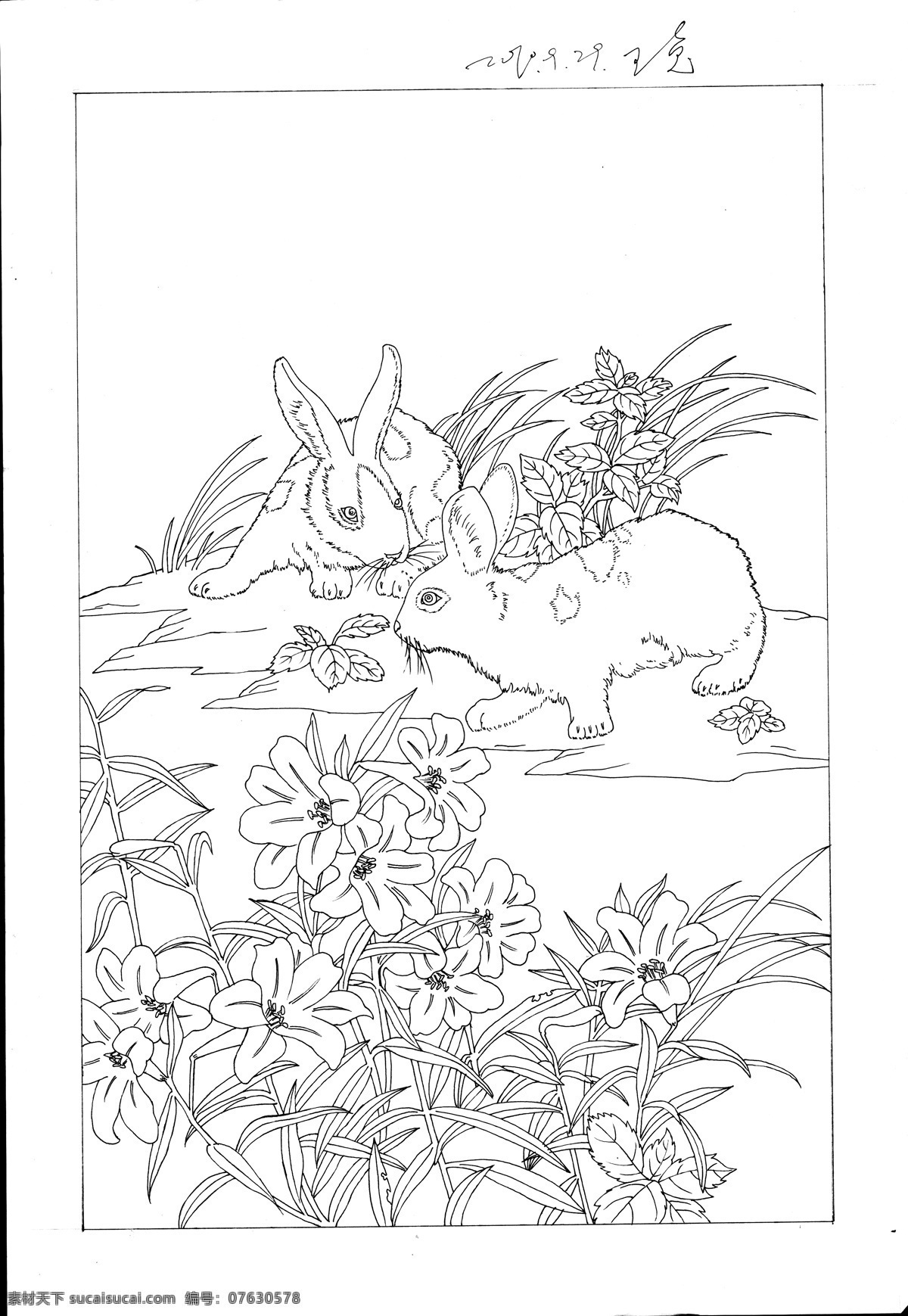 迎 福 兔 白描 线 稿 图 线稿 兔年 动物 风景 设计图 挂历 辛卯年 插画 年画 绘画书法 文化艺术
