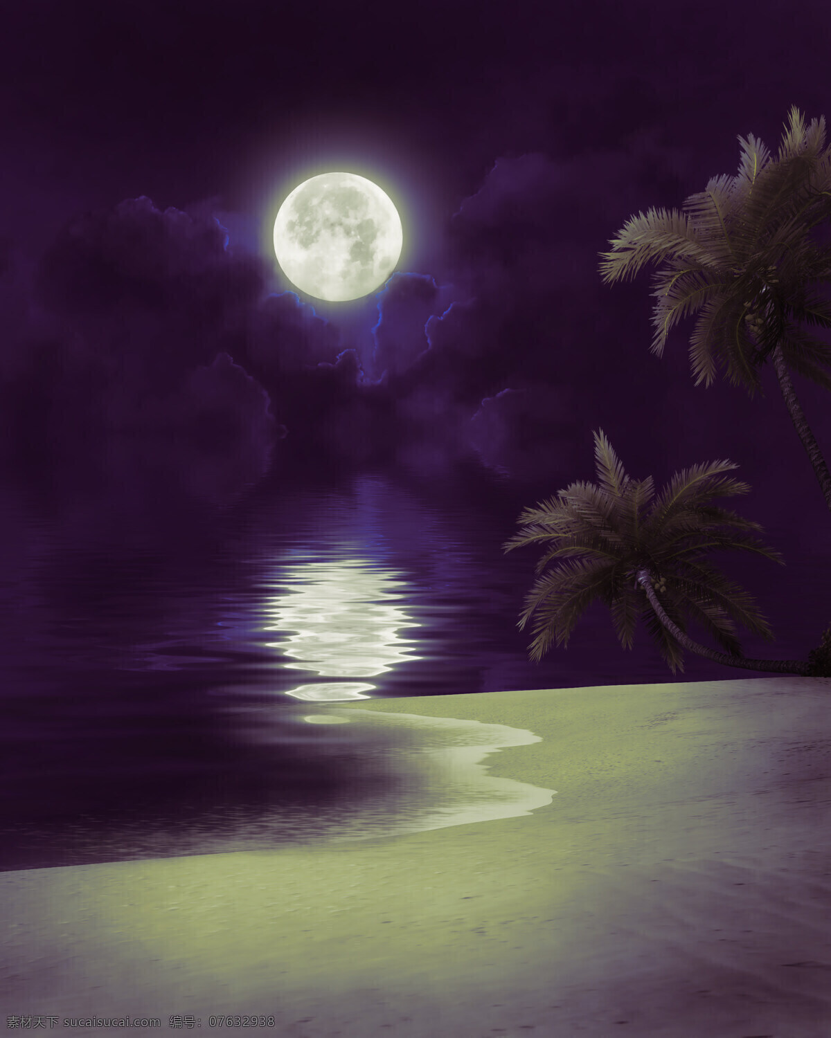 美丽海滩夜景 沙滩风景 海滩风景 美丽风景 椰树 椰子树 月亮 美丽夜景 海洋海边 自然景观 黑色