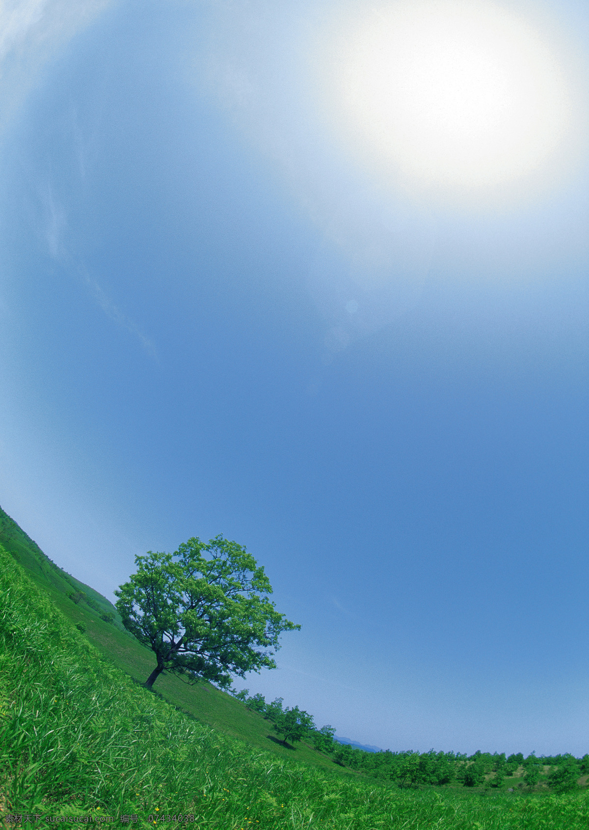 蓝天 白云 绿树 草地 太阳 阳光 阳光照射 野外 绿色大地 树木 大树 风景 图像 相片 照片 照相 风景图库 高清大图 蓝天白云 风景图片