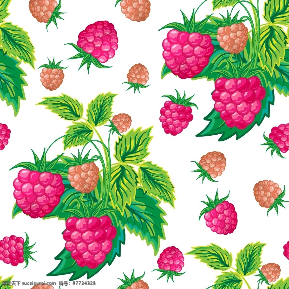 水果 新鲜 叶子 树莓 矢量 生活百科 餐饮美食 白色