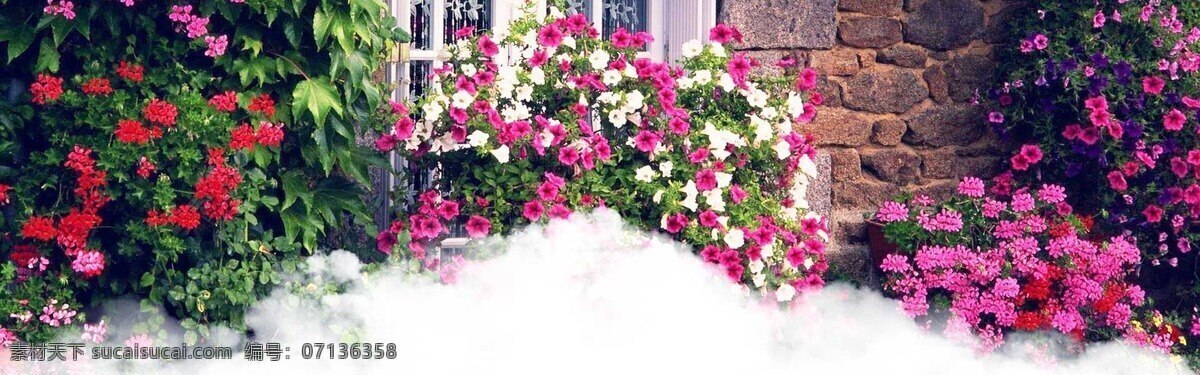 浪漫 蔷薇 花朵 背景 门窗 墙壁 花园 蔷薇花朵 淘宝 全屏 banner