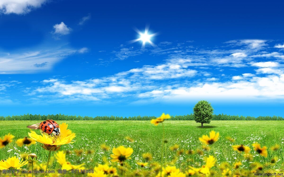 高清 阳光 灿烂 浪漫 清凉 如诗如画 高清阳光 夏日宽屏壁纸 风景 生活 旅游餐饮