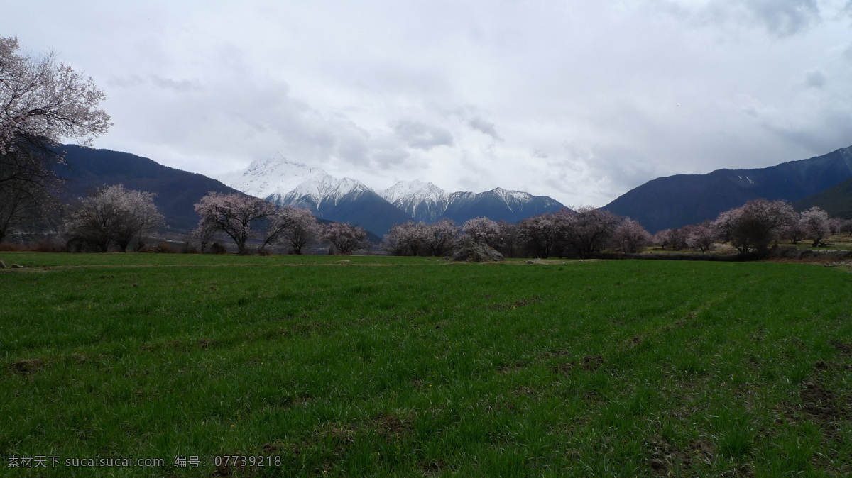 索松村 西藏索松村 西藏林芝 八一镇 西藏 林芝 山水风景 自然景观