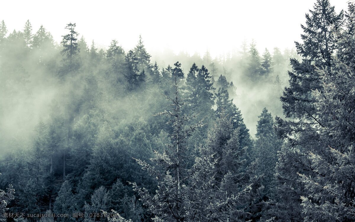 唯美 意境 山水 自然风景 风景 自然 自然景观 山水风景