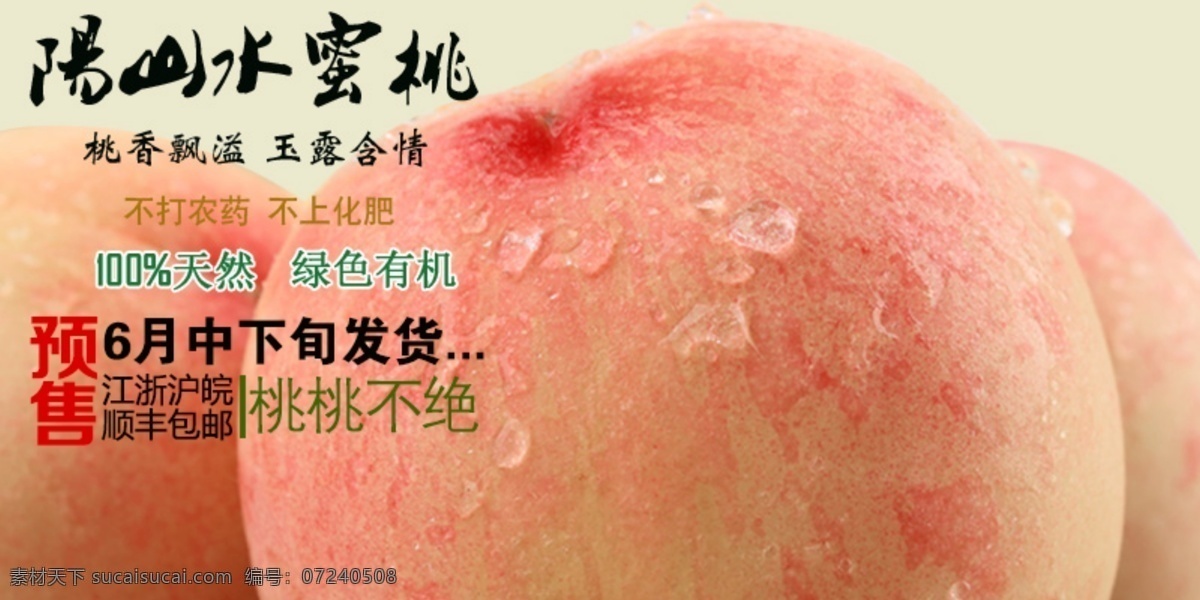 阳山水蜜桃 预售 顺丰包邮 绿色 无污染 淘宝界面设计 粉色