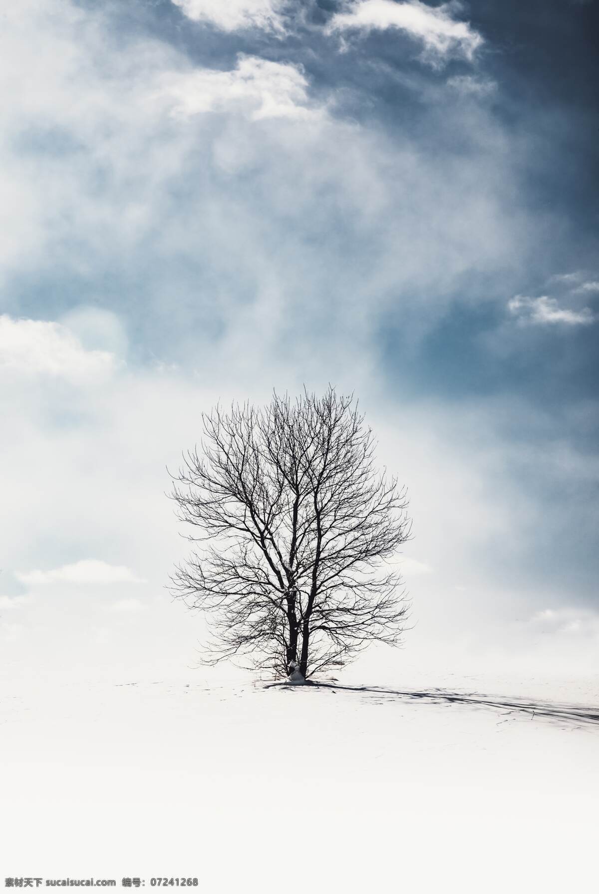 雪地 雪山 白云 冬季 树木 自然 自然景观 自然风景