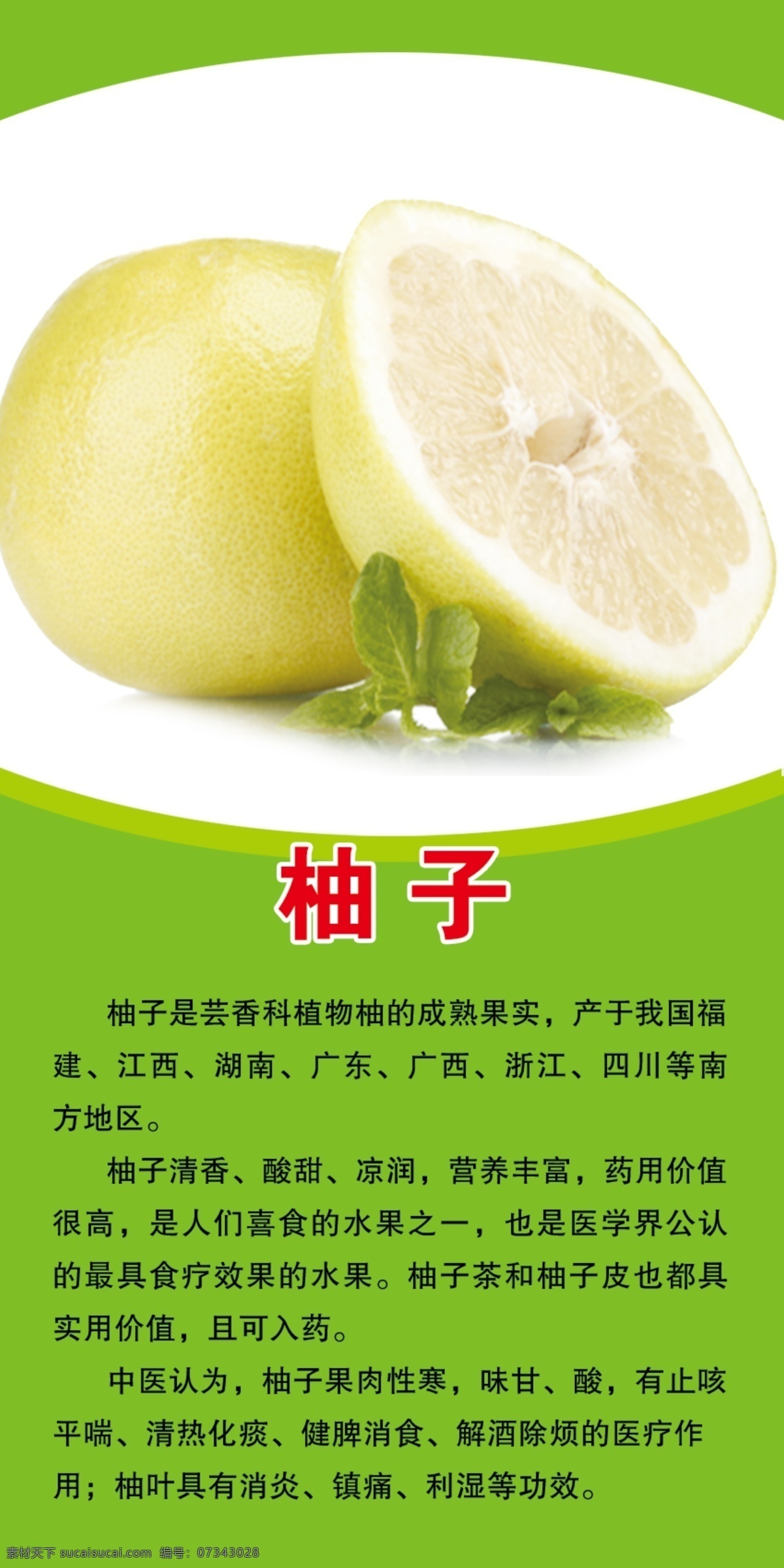柚子 水果介绍 绿色 生鲜店 水果好处 宣传挂图