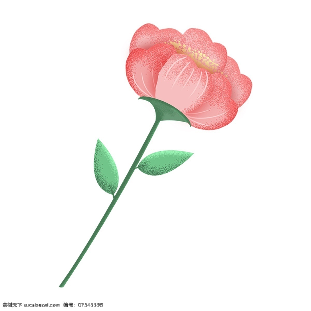 淡 粉色 花卉 手绘 透明 卡通素材 可爱 鲜花 png免抠图 透明素材