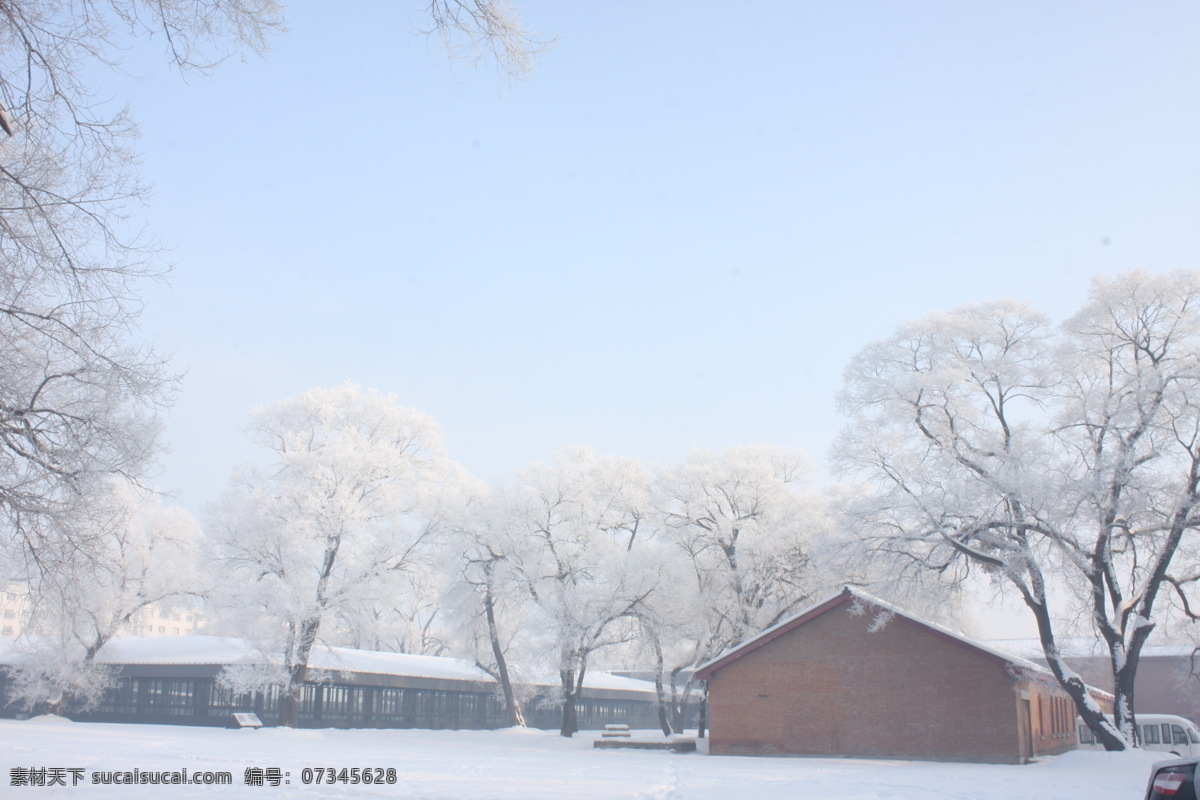 东北美丽雪景 雪景 天空 树挂 树木 蓝天 旅游摄影 国内旅游