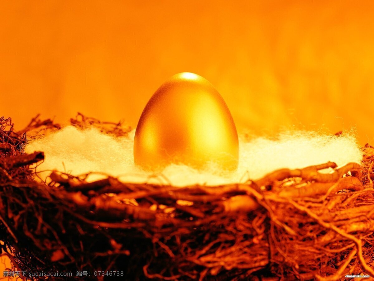 只 金色 鸟蛋 宝藏 金元宝 鸟巢 鸟巢图片 鸟笼 一只金蛋 金色鸟蛋 宝物