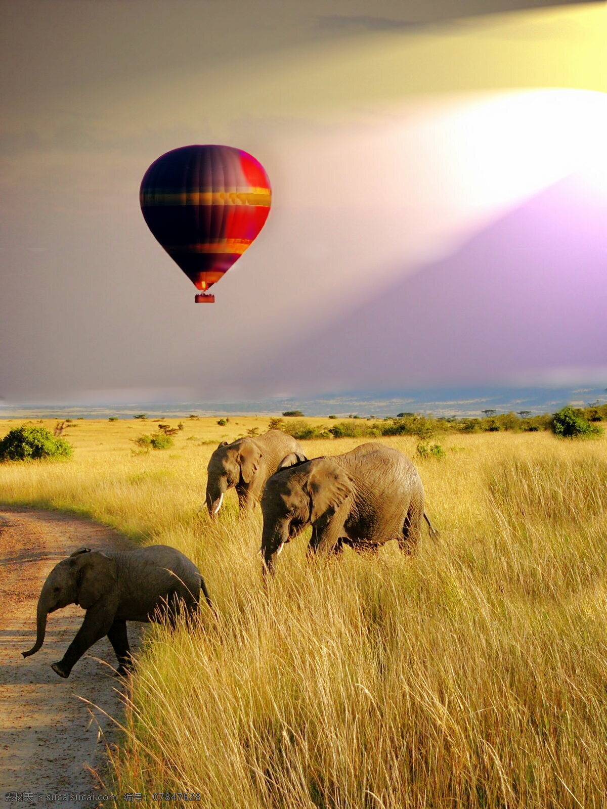 草原风景 热气球 大象 野生大象 野生象 野生动物 唯美 草原 风景 自然风景 自然风光 风景图 自然景观
