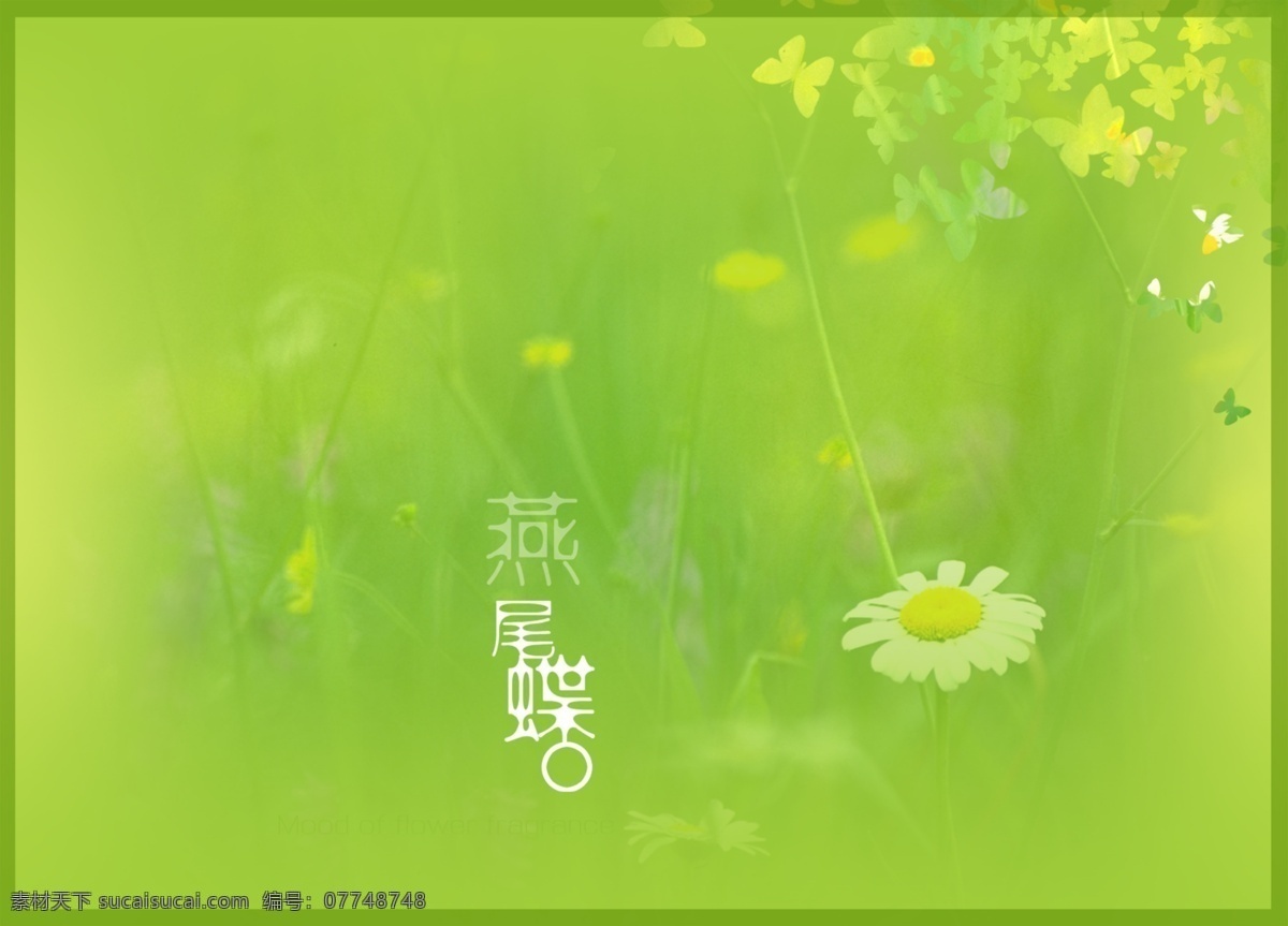 婚纱 模板 绿色