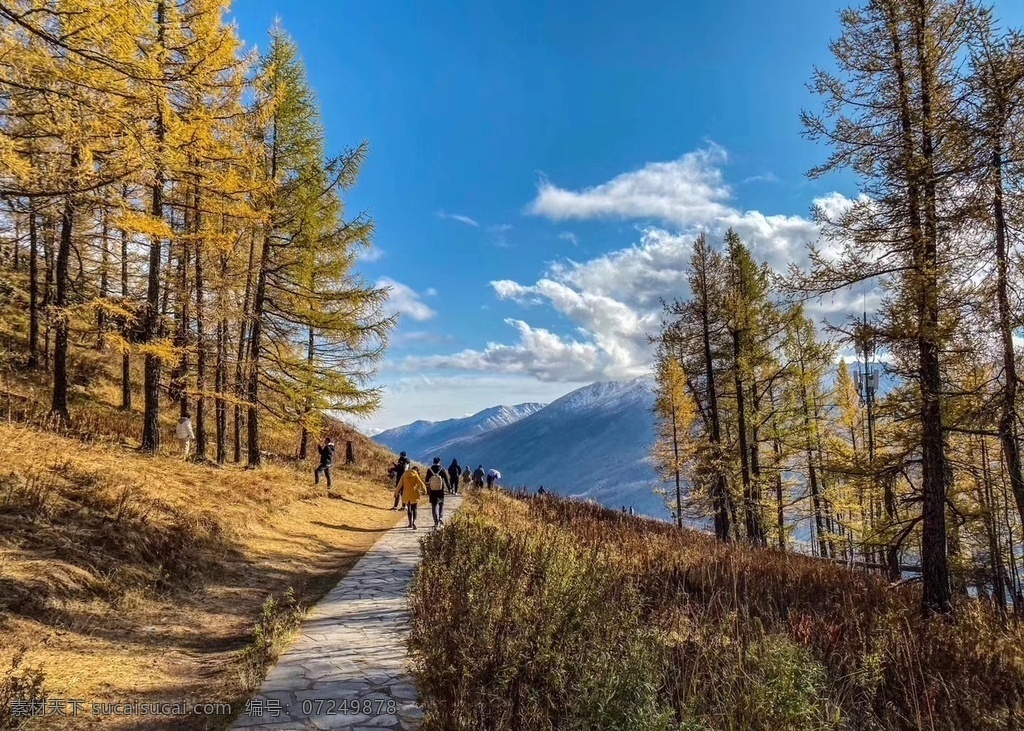 新疆格纳斯 北疆风景 新疆风景 喀纳斯 旅行拍摄 蓝天 枫叶 自然风景 旅游摄影 国内旅游