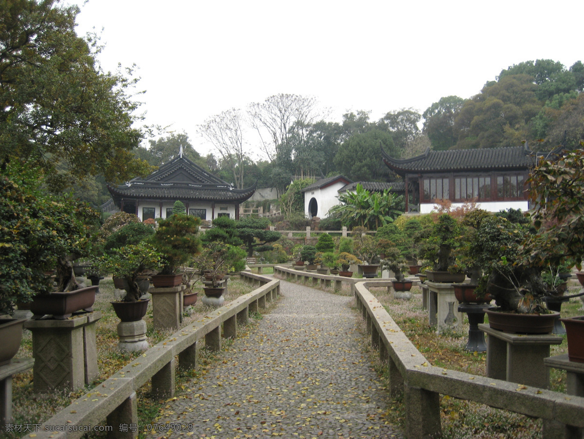 苏州园林 盆景 房子 小路 花草 国内旅游 旅游摄影