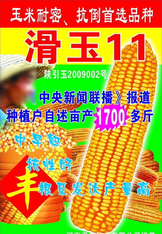 农业展板 玉米海报展板 玉米展板 玉米设计 玉米棒 玉米粒 丰收 农业种子 玉米 玉米人物 农资产品 农作物 展板模板 矢量