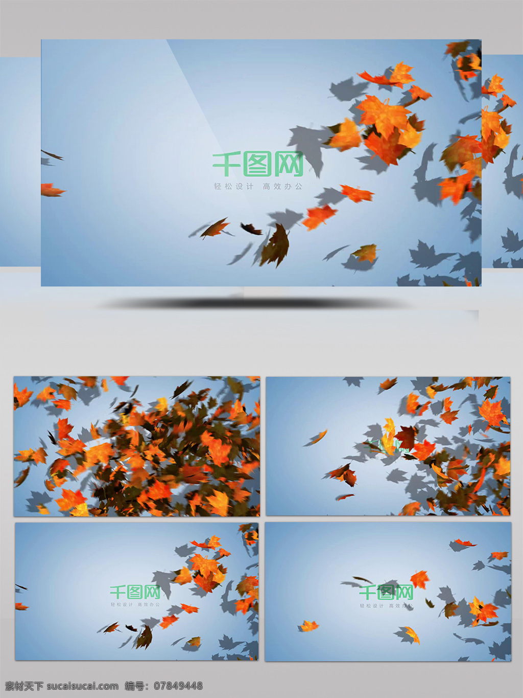 秋季 枫叶 扫 落 logo 展示 树叶 秋天 叶子 扫落叶 枫树 风吹 光感