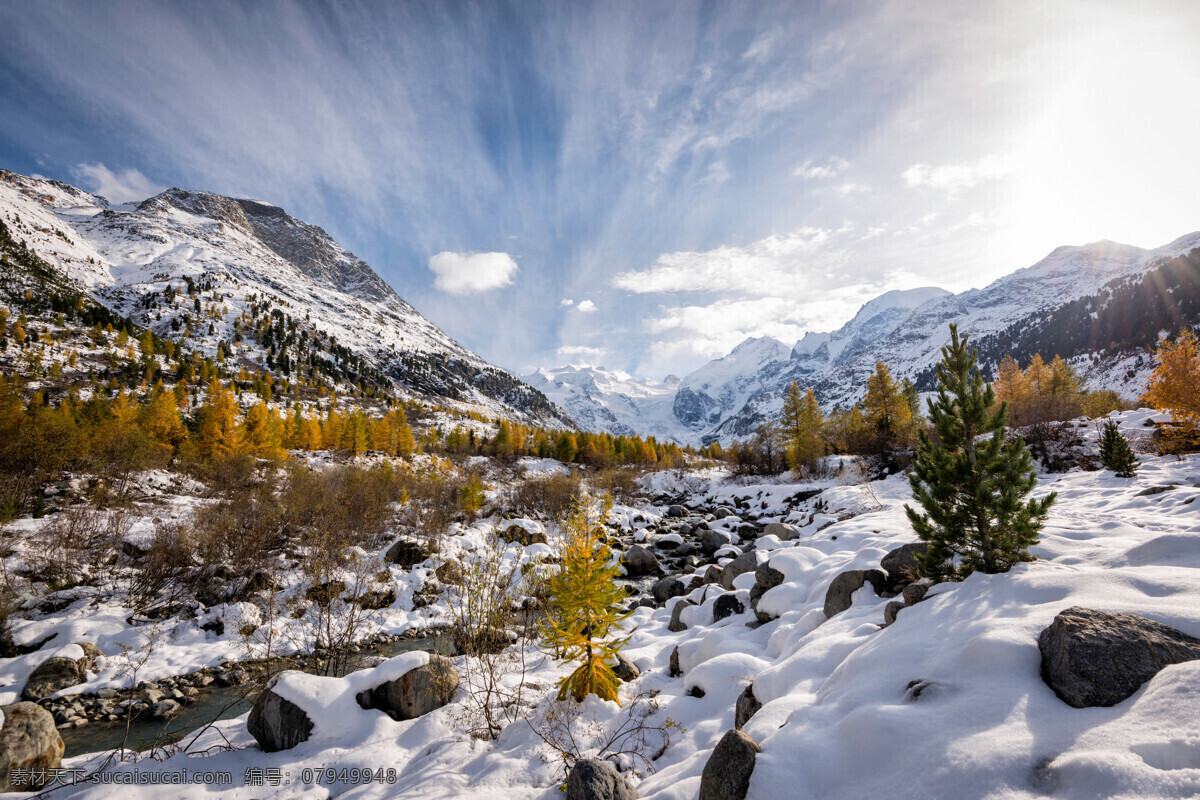 雪景图片 自然风景 雪景 雪景壁纸 雪景风景 山水风景 大自然风景 风景 风景图片 风景壁纸 唯美风景 唯美图片 唯美壁纸 电脑壁纸 植物 森林植物 植物图片 蓝天白云 树木 树干 雪景图 雪地 雪 马路 冬季 美景 美景图片 美景壁纸 雪山 自然风光 雪松 雪松路 雪地风景 自然景观 山脉 美景图