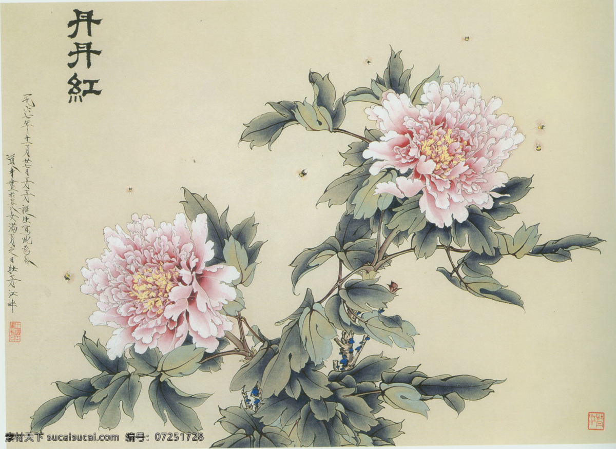 牡丹 花卉 装饰 水墨画 名画 水墨花卉植物 国画 中国画 绘画艺术 装饰画 挂画 书画文字 文化艺术