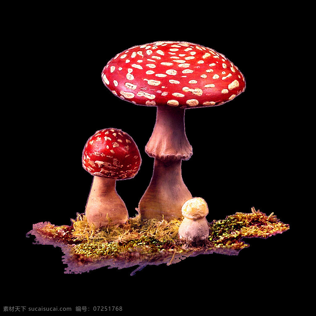 鲜艳蘑菇元素 手绘 波点 红色蘑菇 鲜艳