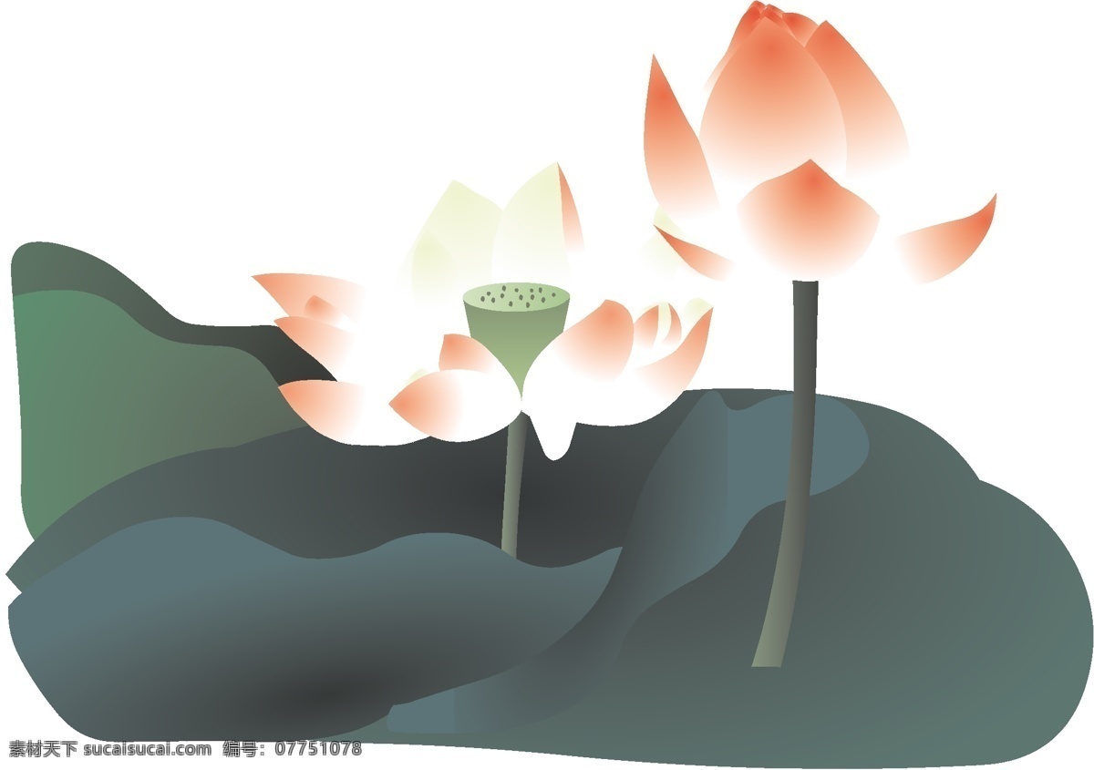 矢量莲花1 艺术的载体 载体的绘画美 画 格式 莲花 向量 白色