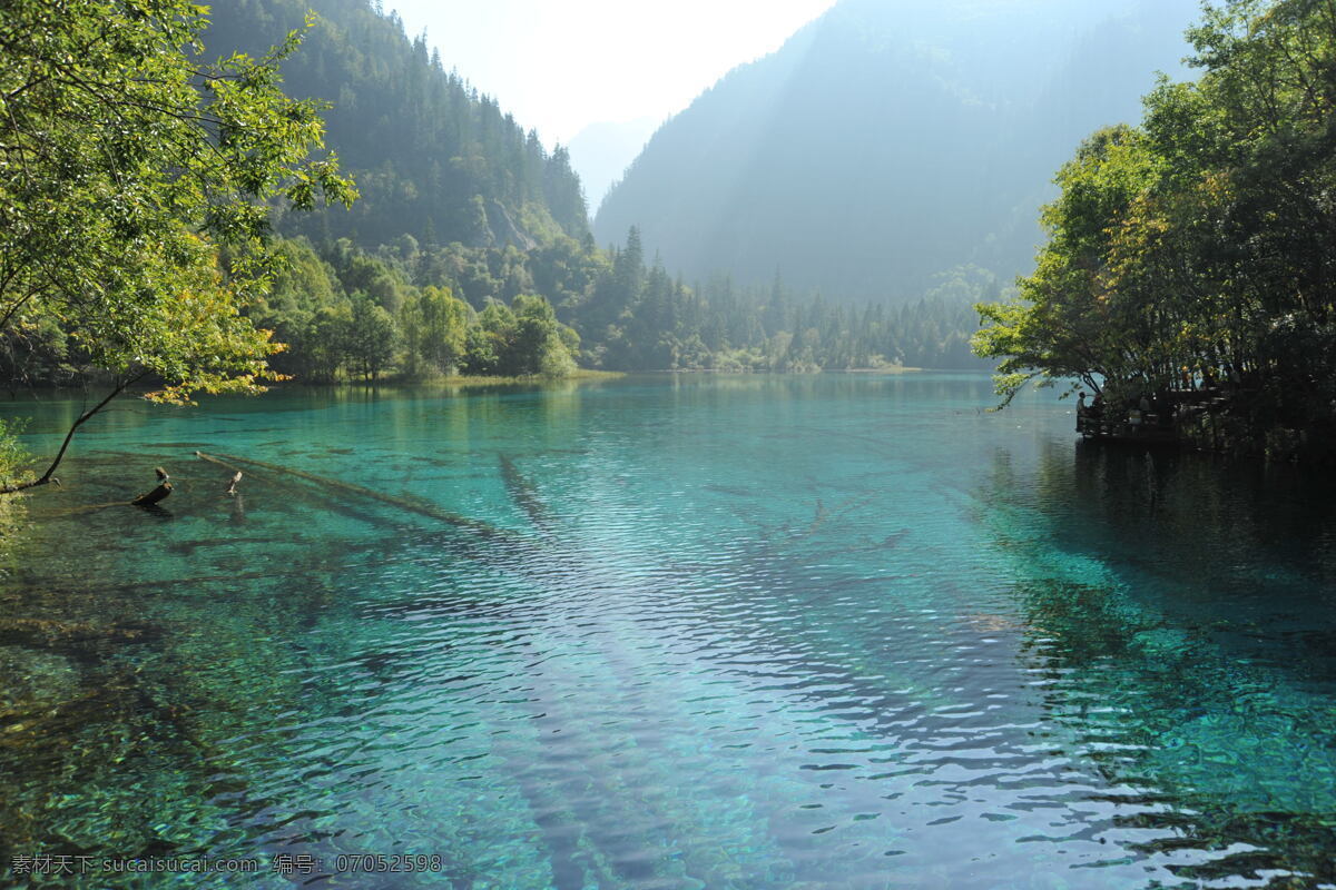 湖水 树林 树木 蓝天 树枝 湖边 河边 远山 远景 流水 水流 小溪 溪流 九寨沟 国内旅游 旅游摄影