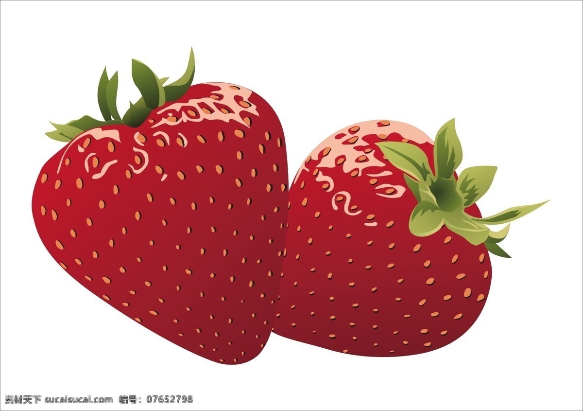 汁 新鲜 草莓 集 向量 矢量食物 浆果 多汁 矢量图 日常生活