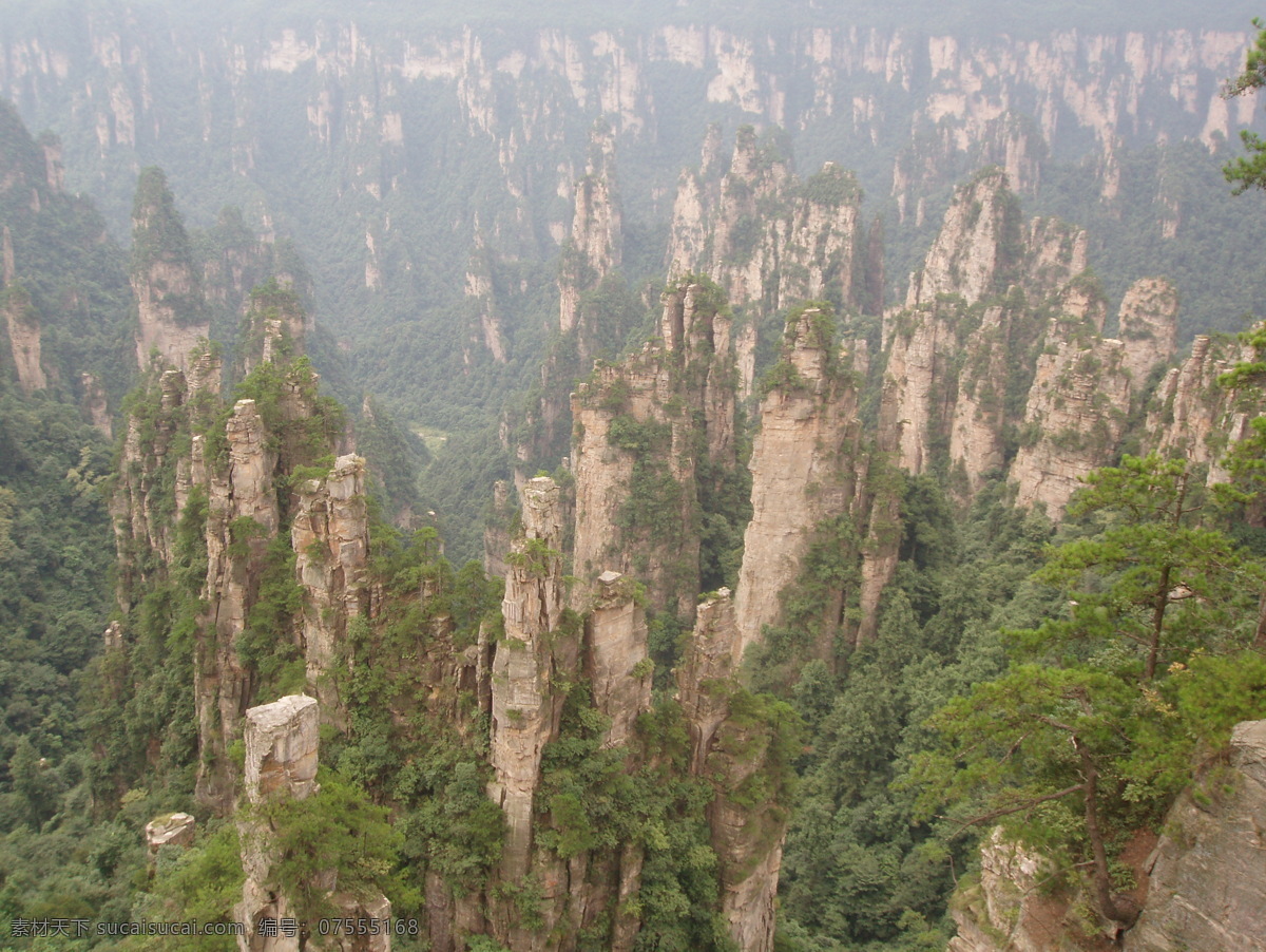 湖南张家界 西部石林 国内风景区 世界自然遗产 山峰 树木 景观 国内旅游 旅游摄影