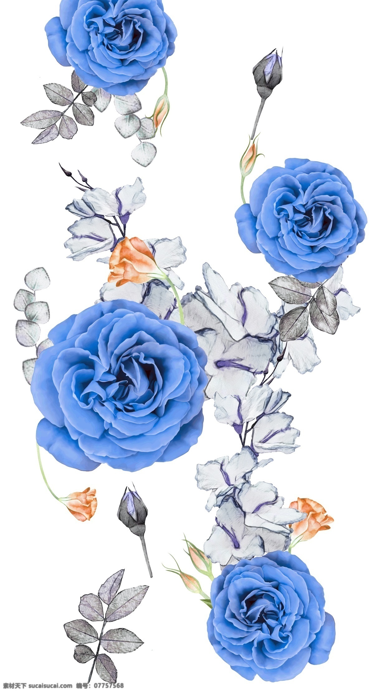 花儿 蓝色花朵 蓝玫瑰 国花 植物 矢量图 精美 面料 图案 花型