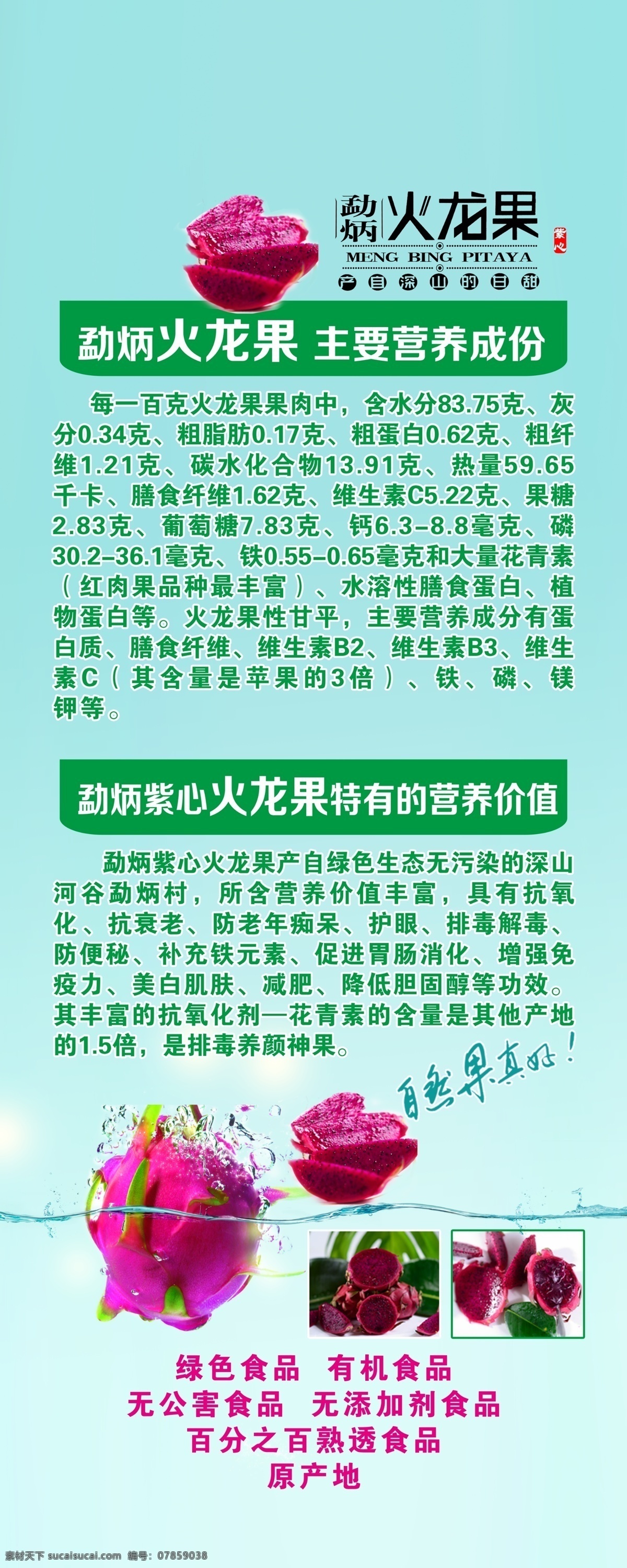 水果火龙果 火龙果 火龙果简介 火龙果营养 火龙果展架 孟炳火龙果