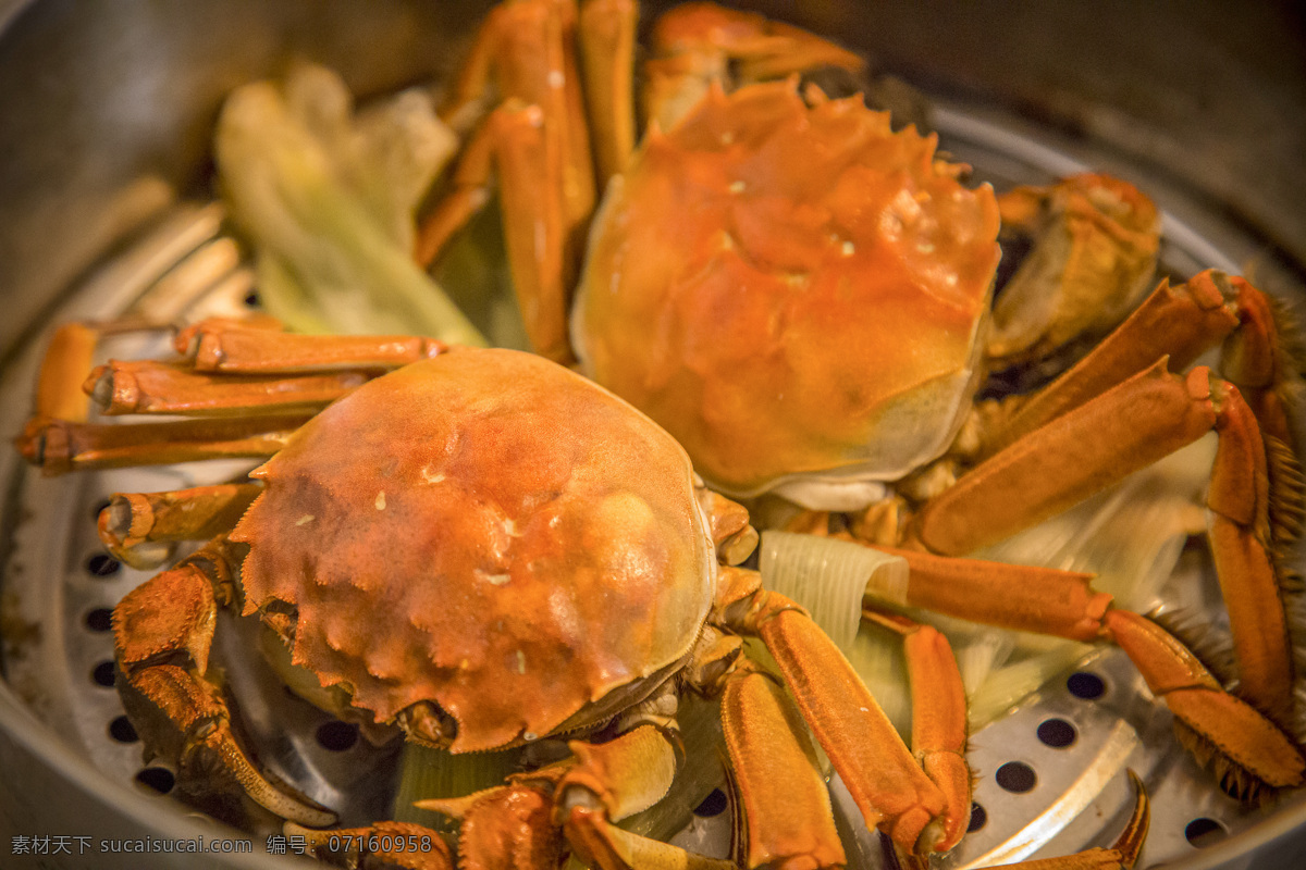 螃蟹 大闸蟹 海蟹 食物 食材 美食 美味 餐饮 饮食 餐饮美食 传统美食