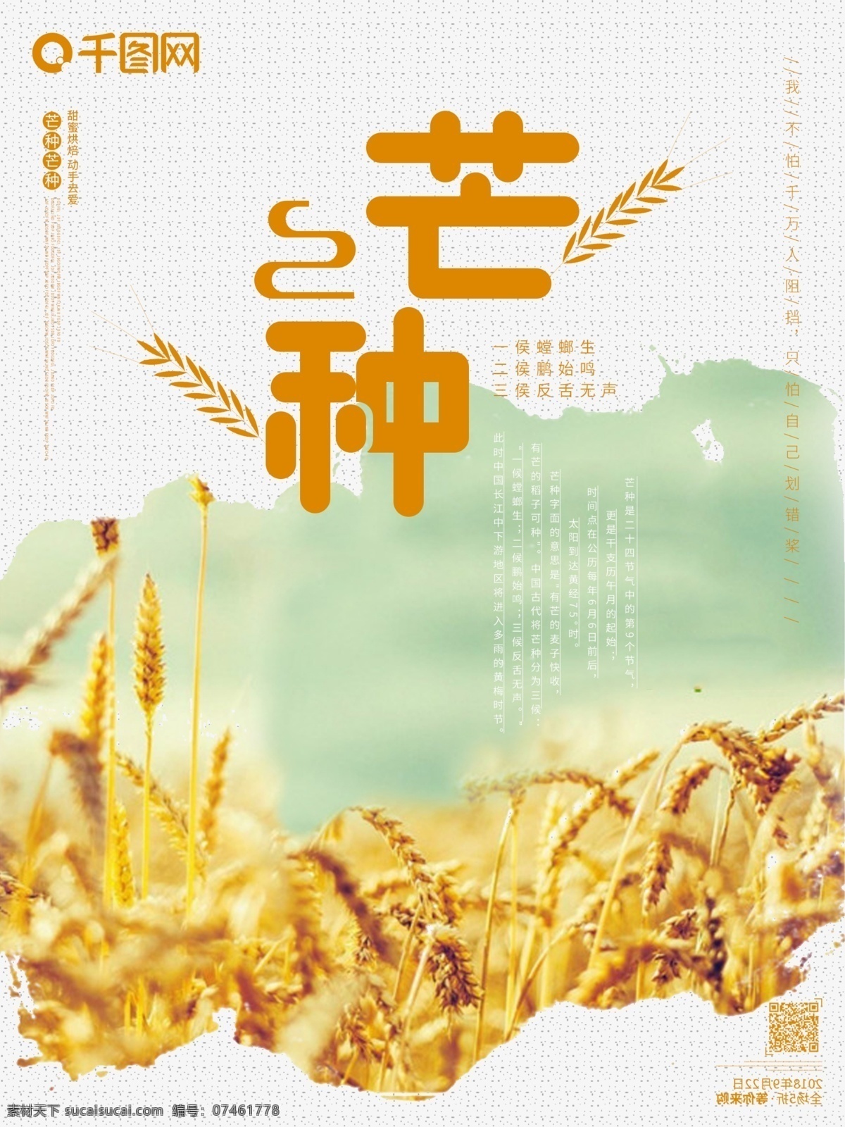 芒种 中国 传统 节气 原创 大气 黄色 海报 24节气之一 小清新 节日