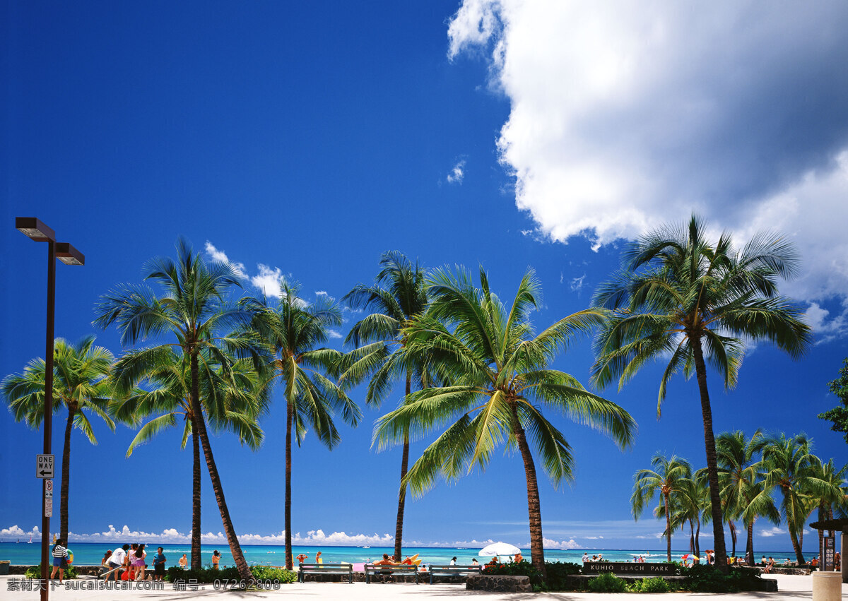 夏威夷 风光摄影 夏威夷风光 海洋 海滩 沙滩 避暑胜地 海边 树木 座椅 夏天 夏日风情 清爽一夏 度假旅游 蔚蓝天空 沙滩椅 国外旅游 旅游摄影 海洋海边 自然景观 蓝色