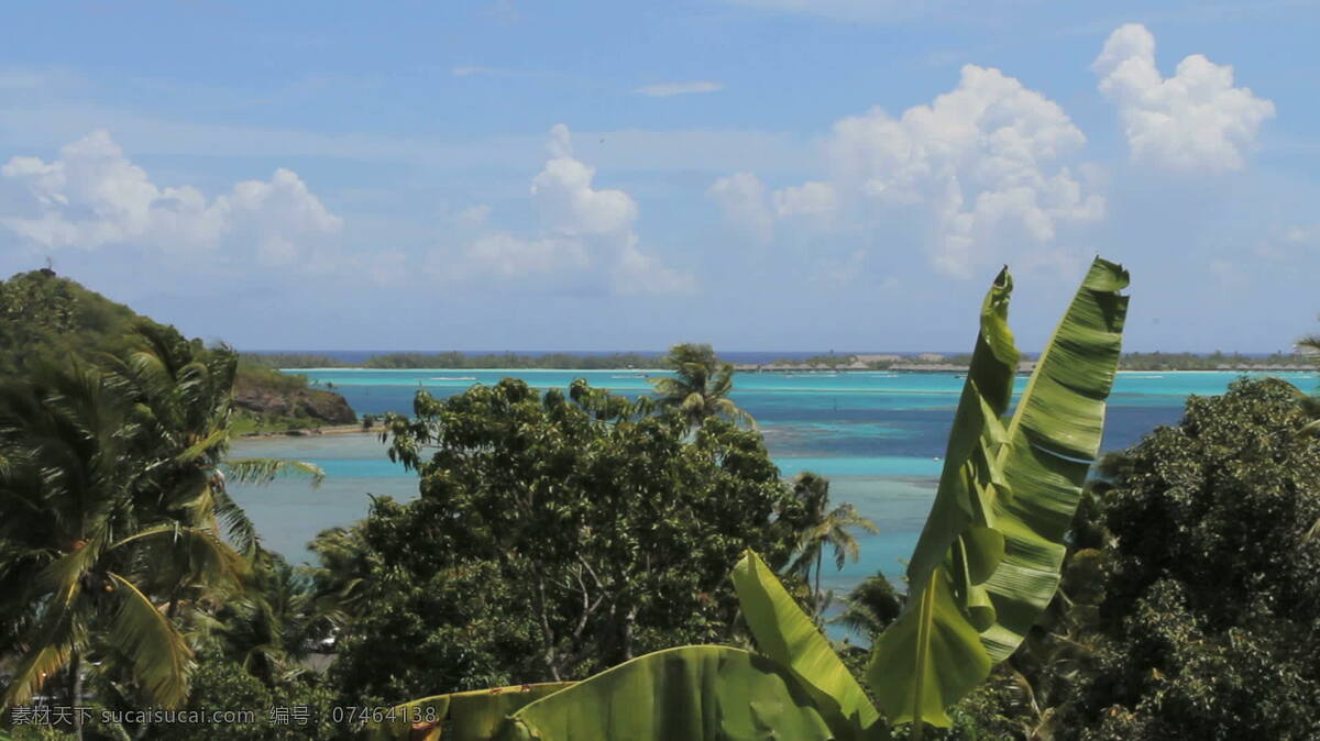 波拉 泻湖 股票 录像 海 海湾 蓝 美丽 叶 植物 棕榈树 波拉波拉岛 法属波利尼西亚 热带海洋 水 棕榈 绿松石 视频 其他视频