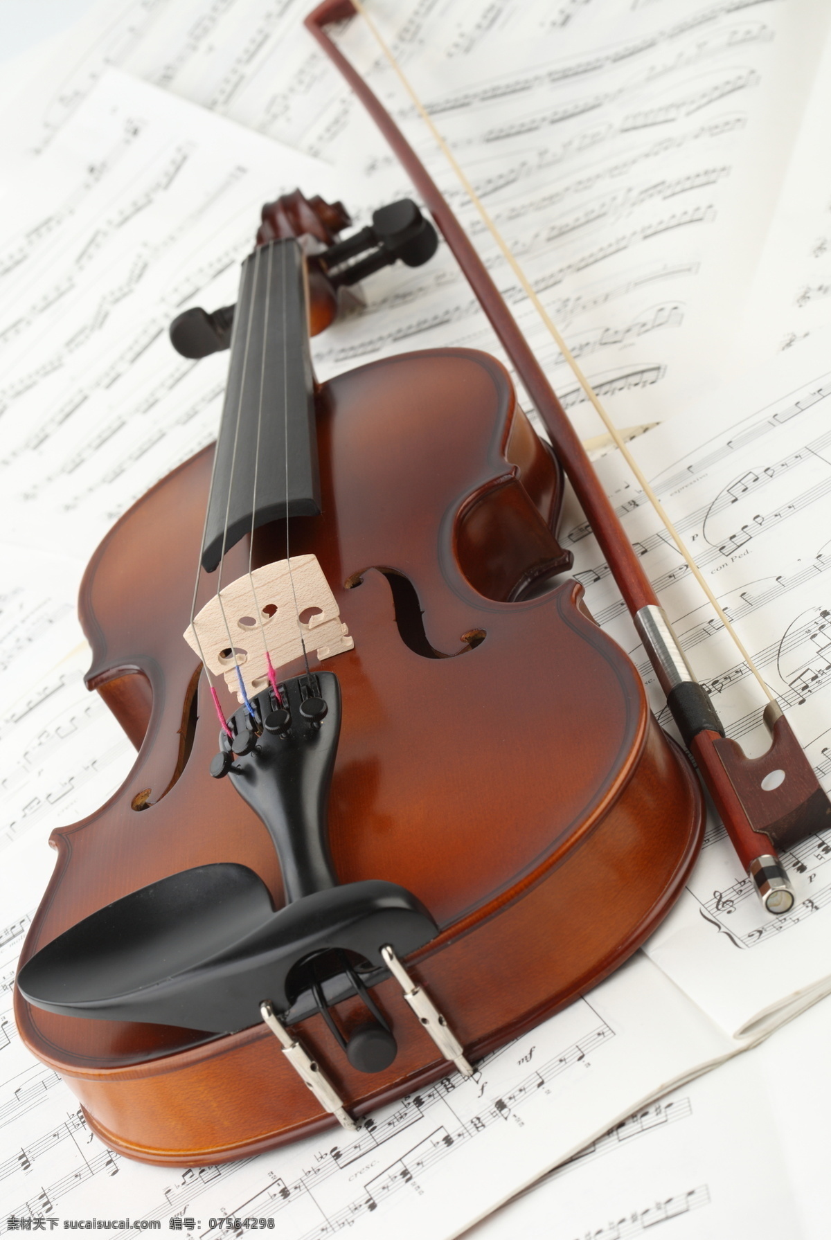 小提琴 音符 乐谱 中提琴 玫瑰 玫瑰花 鲜花 文化艺术 音乐 乐器 西洋乐器 影音娱乐 生活百科
