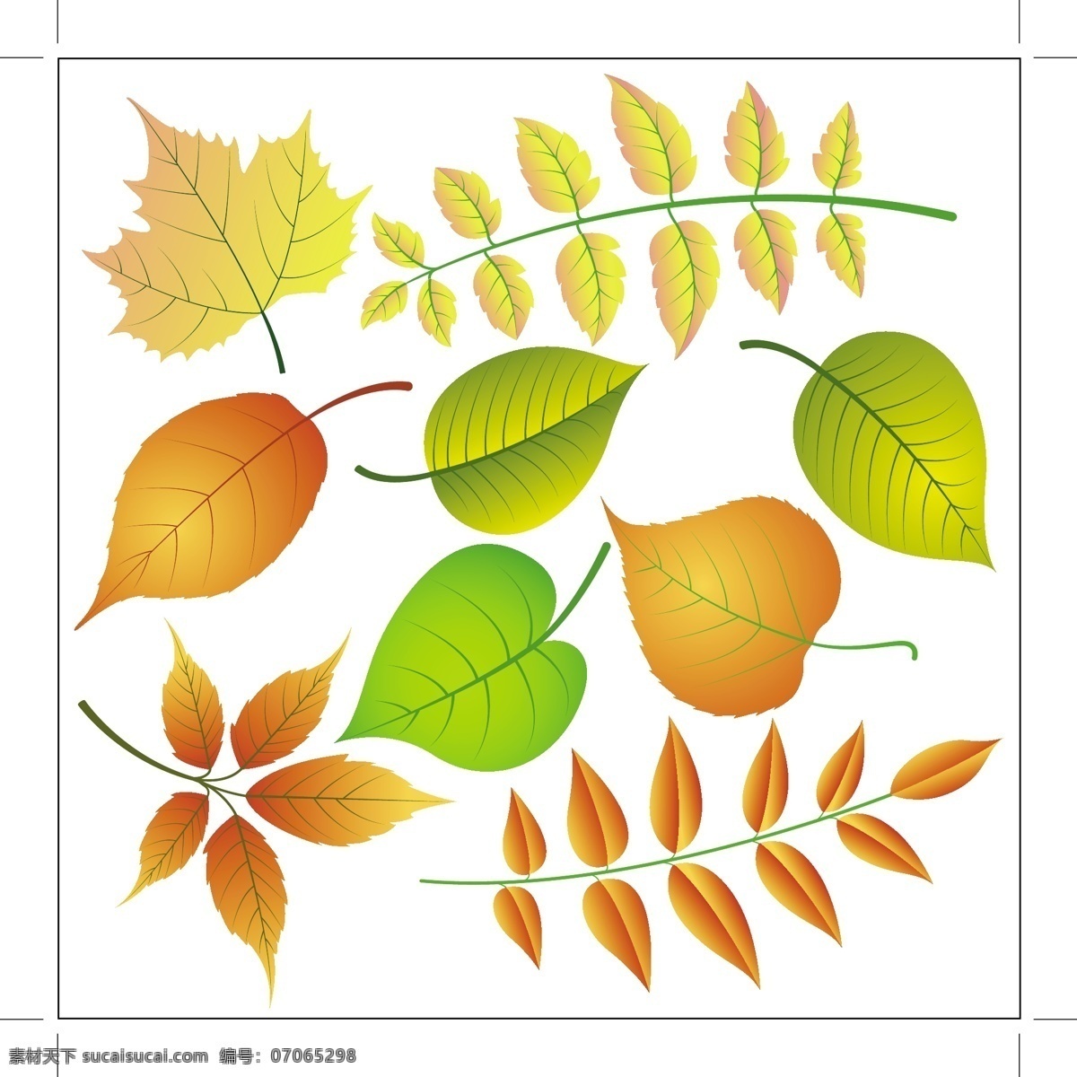 漂亮 树叶 橙色 环保 绿叶 矢量素材 叶子 矢量图 其他矢量图