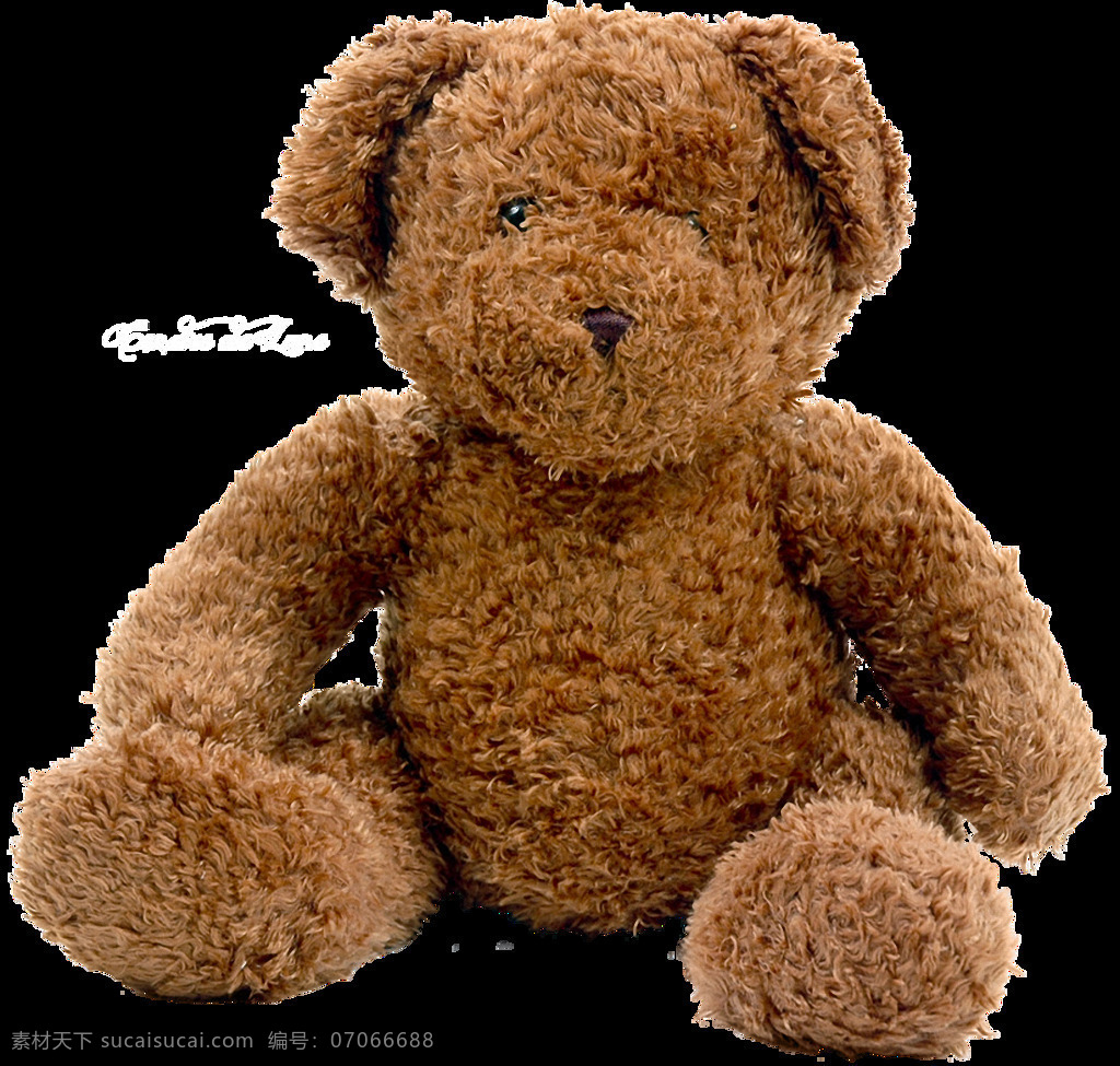 棕色 毛 泰迪 熊 免 抠 透明 熊玩具 布娃娃熊 各种 大全 棕熊图片 笨熊 大熊图片 北极熊 灰熊图片 卡通熊图片 手绘熊图片 小熊宝宝