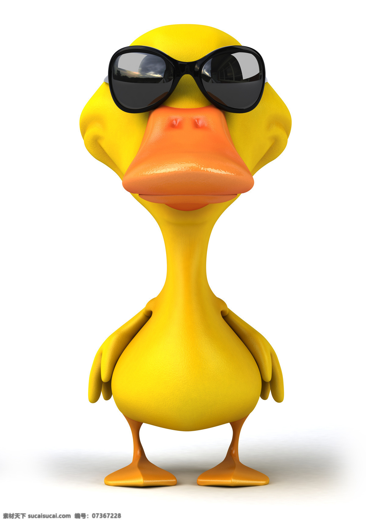 戴 墨镜 小黄 鸭 小黄鸭 3d动物 鸭子 有趣的动物 其他类别 生活百科