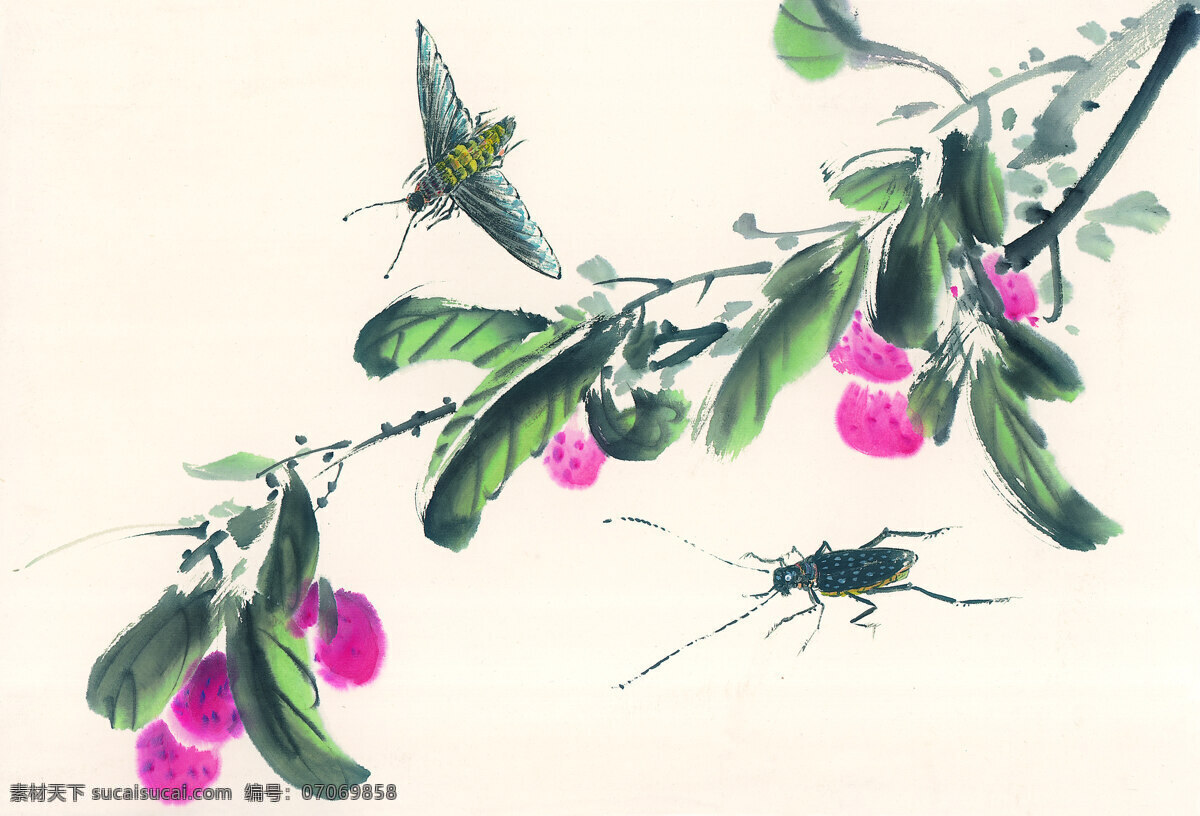 蝶恋花 中国画 泼墨 写意 写生 艺术 装饰画 工笔画 绘画 白色