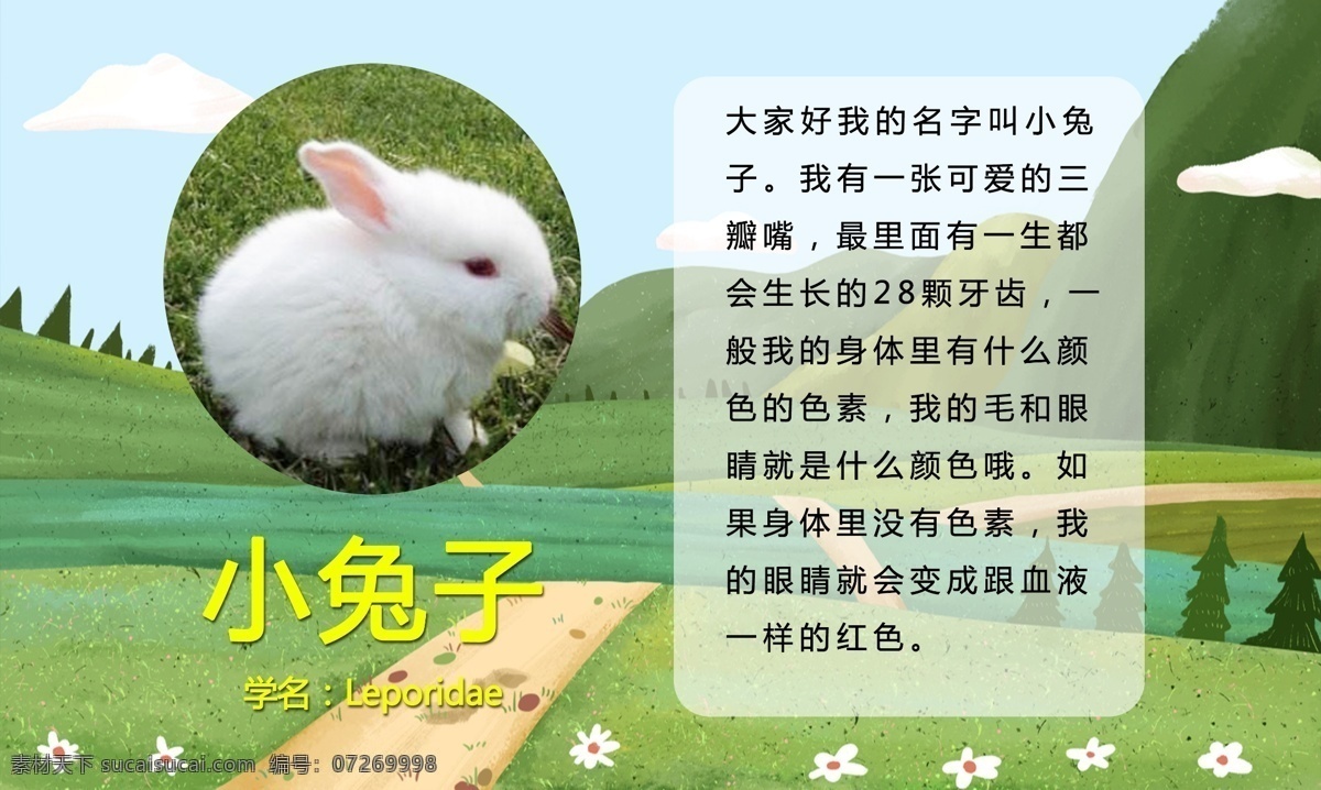 兔子简介 小兔子 白兔 简介 手绘田园 场景