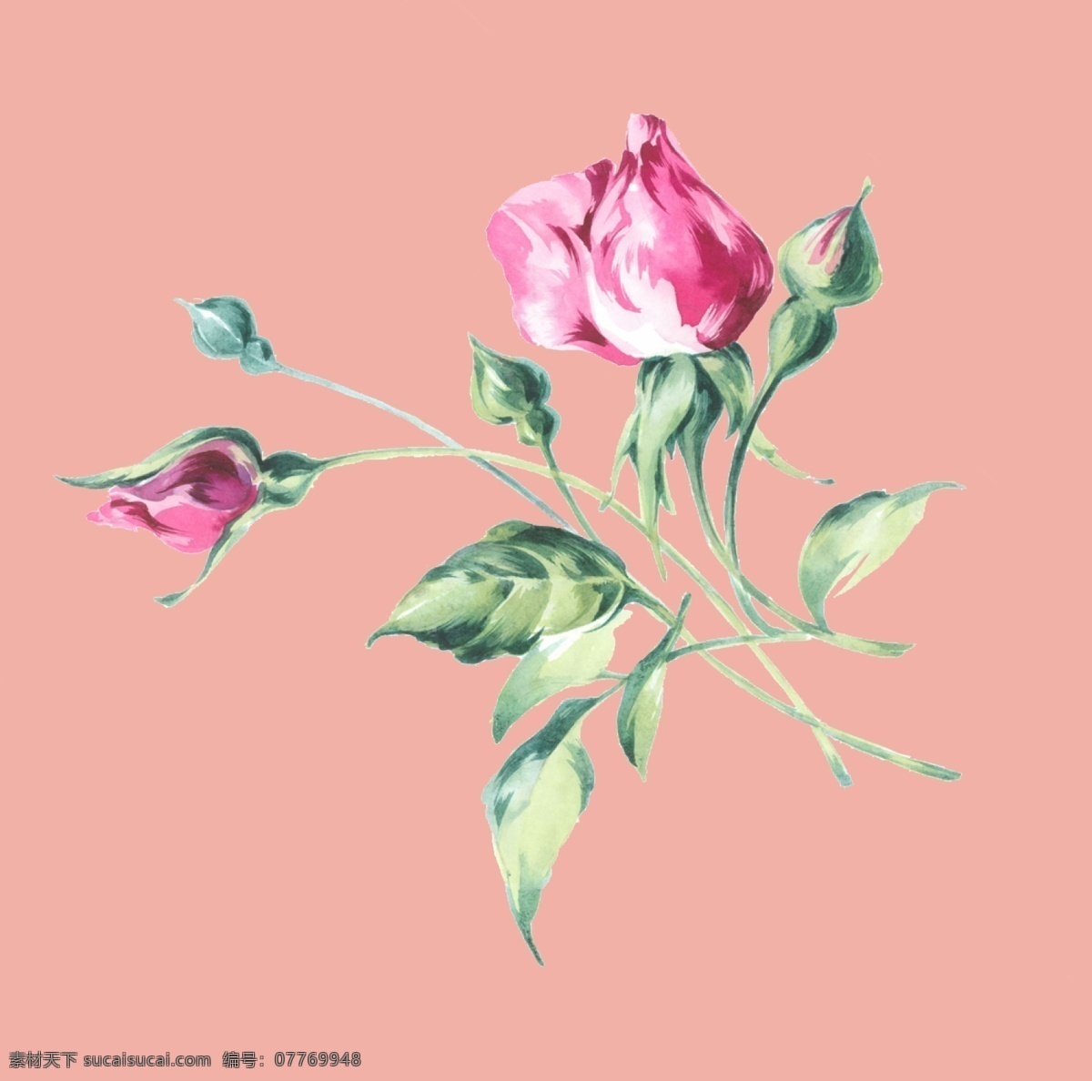 玫瑰 小花 小黄花 小粉色花 一束花 插花 小清新花朵 干净 月季