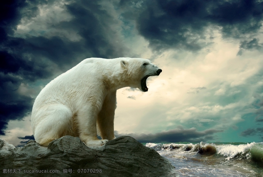 北极熊 棕熊 白熊 岩石 怒吼 张嘴 乌云 云彩 动物专辑 野生动物 生物世界