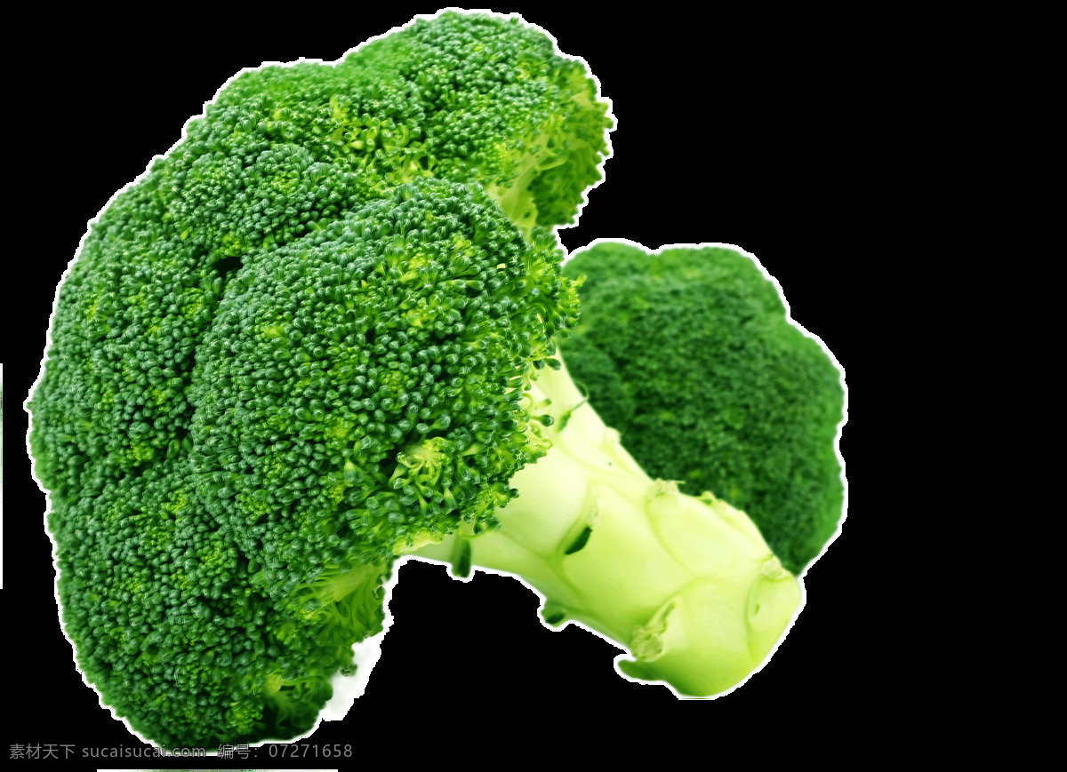西兰花 蔬菜 免扣图 食物 绿色蔬菜 健康 饮食 烹饪 食材 美食 美味