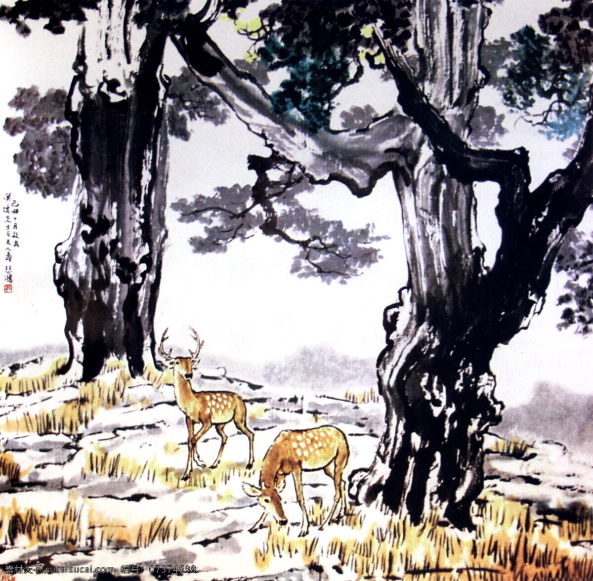 柏树 双鹿 中国画 柏树双鹿 设计素材 动物画篇 中国画篇 书画美术 白色