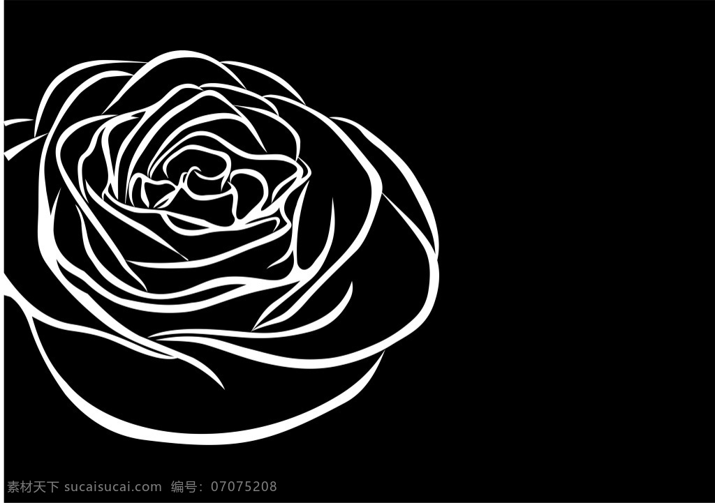 玫瑰 线条 形状 简 笔画 线条形状 花线条 玫瑰素材 简笔画 花素材