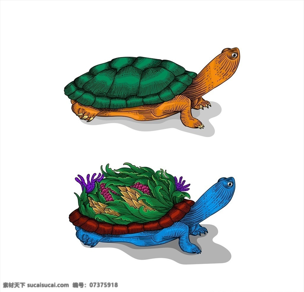 卡通乌龟 乌龟 龟 海龟 大眼睛 吉祥物 卡通形象 可爱 矢量图 小动物 动物卡通 插画 简笔画 漫画 q版 小乌龟 花朵 龟壳 乌龟漫画 虫子 毛毛虫 卡通动物 底纹边框 其他素材