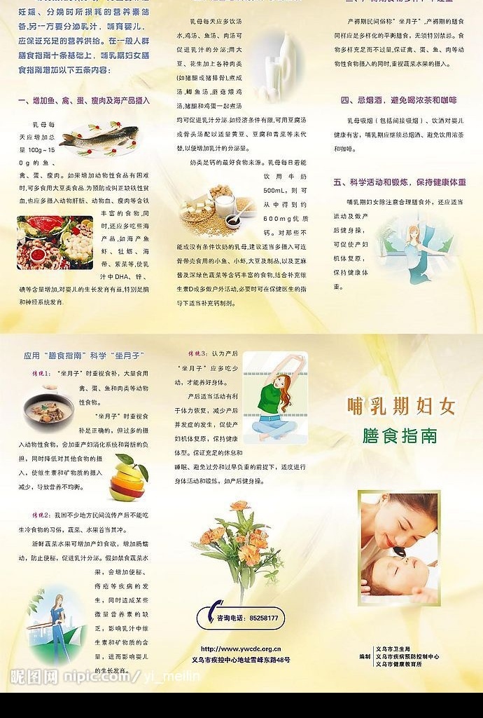 哺乳期 妇女 膳食 指南 膳食指南 三折页 坐月子 幼儿 其他设计 矢量图库