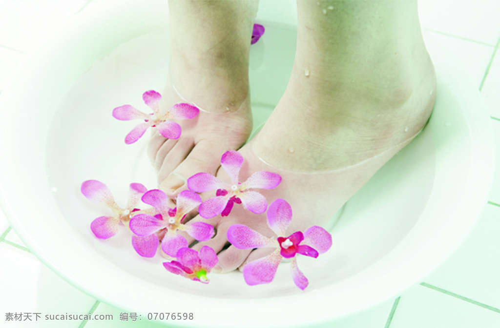 花瓣 洗脚 健康 白色